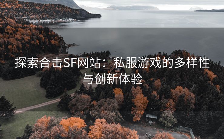 探索合击SF网站：私服游戏的多样性与创新体验
