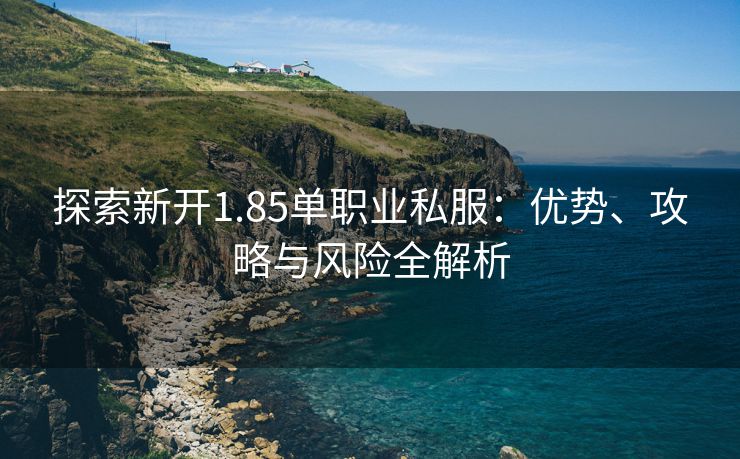 探索新开1.85单职业私服：优势、攻略与风险全解析